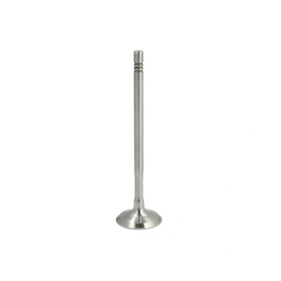 Abbildung von Einlassventil FRECCIA R8112/S