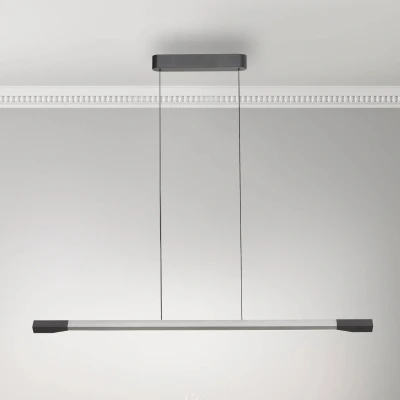 Abbildung von Paul Neuhaus Pendelleuchte »HOOP«, 1 flammig, Leuchtmittel LED Board fest integriert, LED, dimmbar, Simply Dim, Memory, nach Trennung vom Netz, Comfort Lift