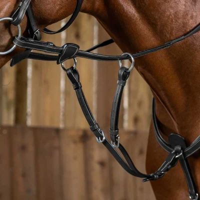Abbildung von Dyon Kurze Martingal WC Braun Pony