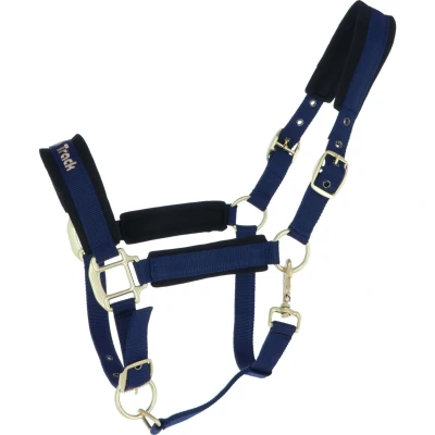 Abbildung von Back on Track Halfter Werano Blau Pony