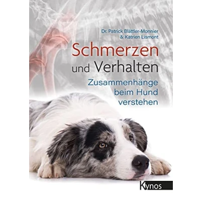 Abbildung von Schmerzen und Verhalten: Zusammenhänge beim Hund verstehen