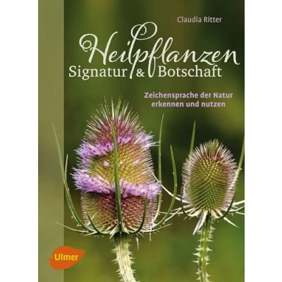 Abbildung von Heilpflanzen. Signatur und Botschaft: Zeichensprache der Natur erkennen nutzen