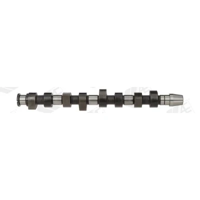 Abbildung von AE CAM670 Nockenwelle VOLKSWAGEN: Golf 4, 4 Variant, SEAT: Leon I Hatchback, SKODA: Fabia 1 Combi
