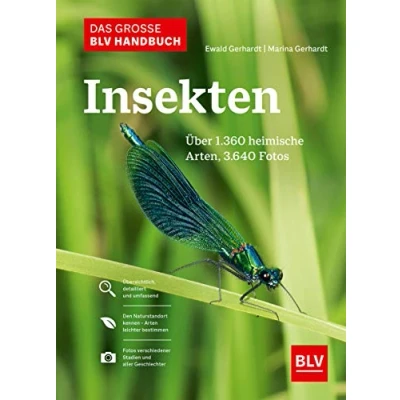 Abbildung von Das große BLV Handbuch Insekten: Über 1360 heimische Arten, 3640 Fotos (BLV Insekten)