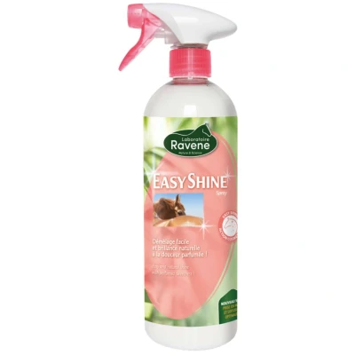 Abbildung von Ravene Easy Shine 750ml