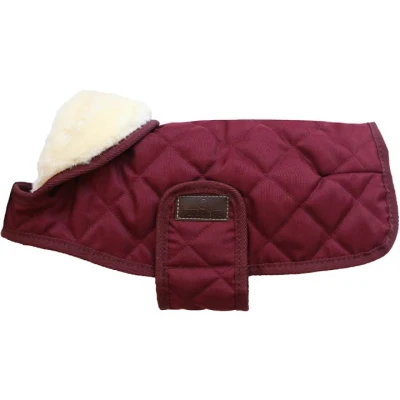 Abbildung von Kentucky Hundejacke Original Royal Bordeaux 62cm