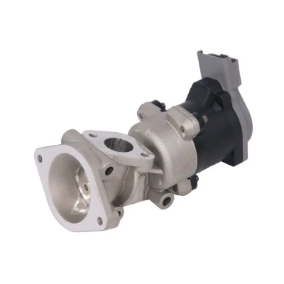 Abbildung von VALEO ORIGINAL PART 700423 AGR Ventil elektrisch ohne Kühler, Dichtungen Unterdruck Bypass, Schelle LAND ROVER: Range Rover Sport