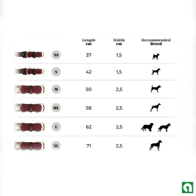 Abbildung von Kentucky Hundehalsband Geflochtenes Nylon Grau