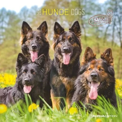 Abbildung von Hunde 2025 Broschürenkalender 30x30 cm (30x60 geöffnet) Kalender mit Platz für Notizen Dogs Bildkalender Wandkalender Hundekalender