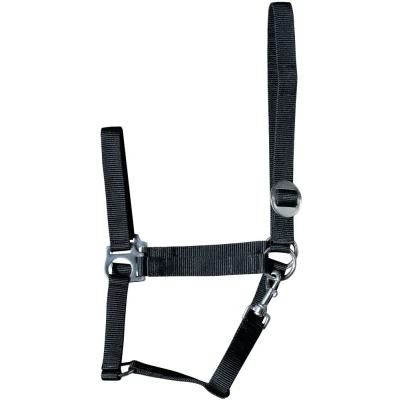 Abbildung von Harry&#039;s Horse Halfter Economy Schwarz Pony