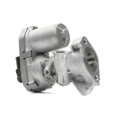 Abbildung von DELPHI EG10399 12B1 AGR Ventil mit Dichtungen FORD: Transit Mk6 Van, Minibus, Platform / Chassis, PEUGEOT: Boxer Van kfzteile,
