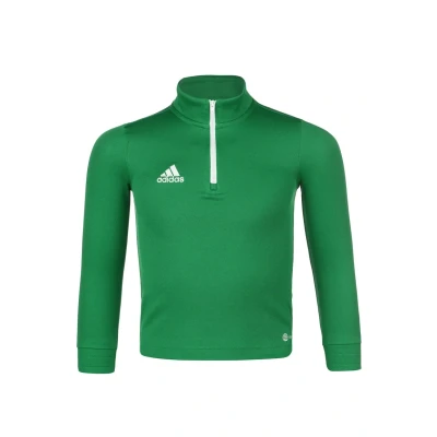 Abbildung von adidas Performance Entrada Sweatshirt für Kinder, Größe: 164, Teagrn white