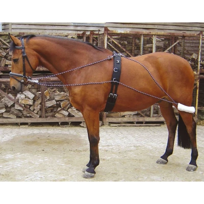 Abbildung von Harry&#039;s Horse Longierausbindezügel Pony