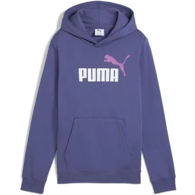Abbildung von PUMA Kapuzensweatshirt »ESS 2 COLOR NO. 1 LOGO HOODIE FL B«