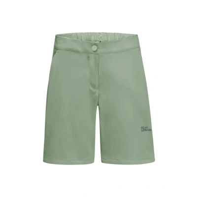 Abbildung von Jack Wolfskin Alpine Outdoor Shorts, Herren, Größe: 40, Eucalyptus