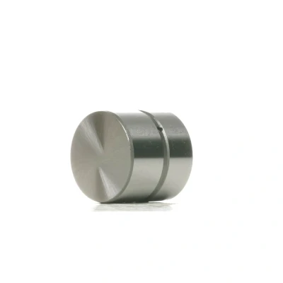 Abbildung von AE FOL206 Hydrostößel hydraulisch Auslassseite, Eingang CITROËN: C8