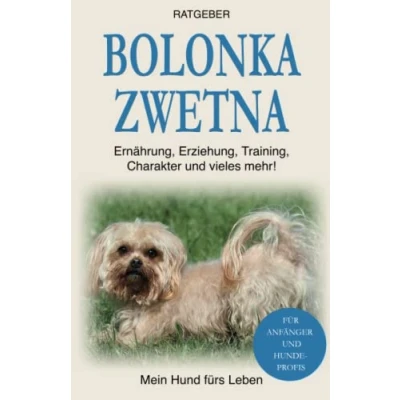 Abbildung von Bolonka Zwetna: Erziehung, Training und Charakter von Zwetna