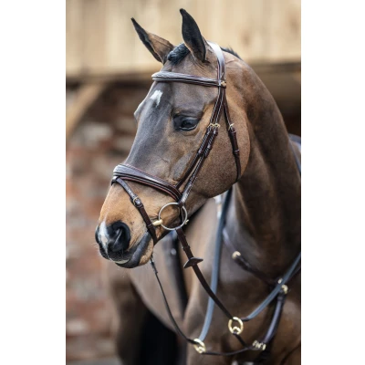 Abbildung von LeMieux Competition Flash bridle
