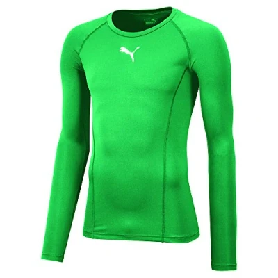 Abbildung von Puma Langarmshirt, Herren, Größe: Medium, Pepper green