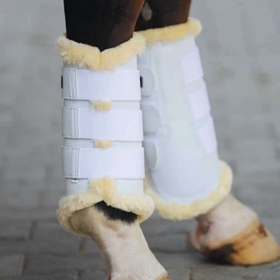 Abbildung von Kavalkade Dressurstiefel Show Kunstleder Weiß S Agradi.deVerkauft von Agradi