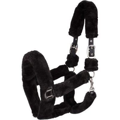 Abbildung von Waldhausen Halfter Cozy Schwarz Pony