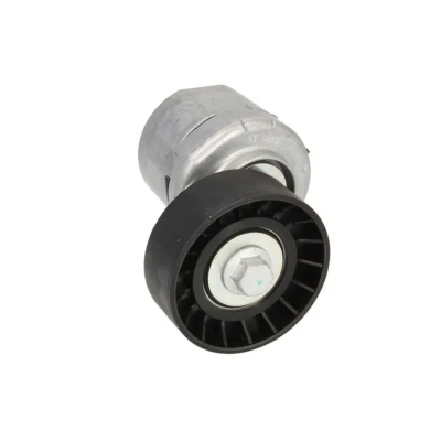Abbildung von BTA E3G0017BTA Spannrolle FORD: FIESTA 4, 5