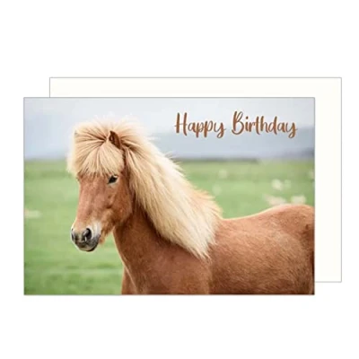 Abbildung von Edition Seidel Premium Geburtstagskarte mit Umschlag. Glückwunschkarte Grusskarte Billet Happy Birthday Mann Frau Kind Geburtstag Pferd Tierkarte Karte (G3157 SW023)