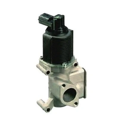 Abbildung von MAGNETI MARELLI 571822112065 AGR Ventil FIAT: Doblo I Cargo