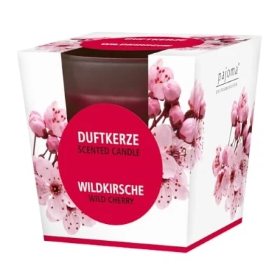 Abbildung von pajoma® Duftkerze, Wildkirsche im satinierten Glas 120g Wachsgewicht, Brenndauer: 25 Stunden, in edler Geschenkverpackung Premium Qualität
