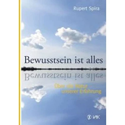Abbildung von Bewusstsein ist alles: Über die Natur unserer Erfahrung
