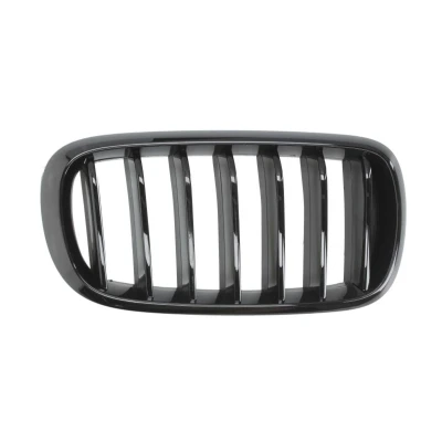 Abbildung von BLIC 6502 07 00969988P Kühlergrill vorne rechts, BMW: X5