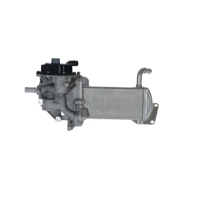 Abbildung von NRF 48210 AGR Modul mit Kühler VOLKSWAGEN: Amarok Pickup