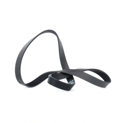 Abbildung von DAYCO 6PK1100 Keilrippenriemen 1100,0 6 VOLKSWAGEN: GOLF 5, Polo IV Hatchback, 6, BMW: 3 Saloon, Coupe, Convertible, OPEL: Zafira B