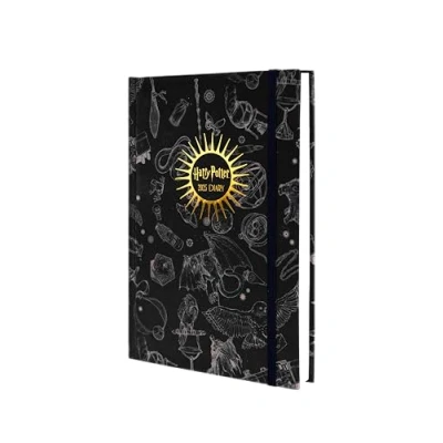 Abbildung von Pyramid Harry Potter Diary 2025, 14,5x21,5cm, täglicher Planer für Potterheads, Kalender die tägliche Organisation