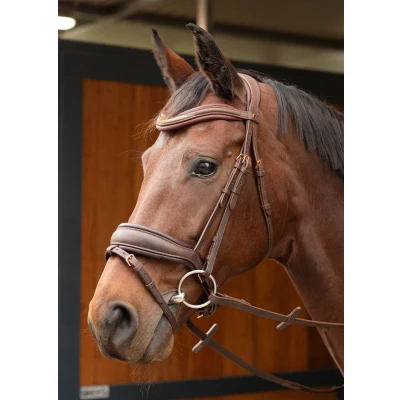 Abbildung von Harry&#039;s Horse Zaum Soft Bombastic Braun Warmblut