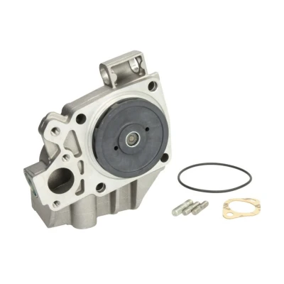 Abbildung von Saleri SIL PA766 Wasserpumpe mechanisch FIAT: Ducato I Van, Platform/Chassis