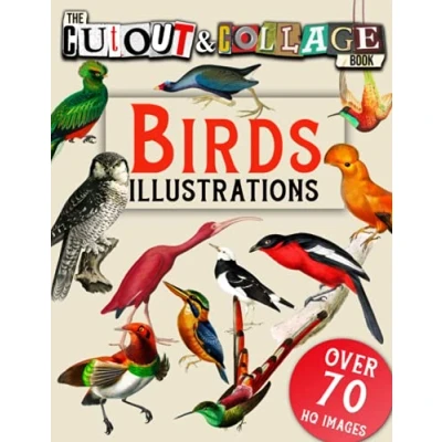 Abbildung von The Cut Out and Collage Book Birds Illustrations: Over 70 High Quality Illustrations For Mixed Media Artists (Cut Books)