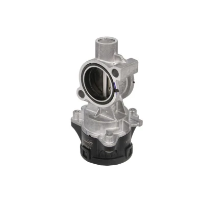Abbildung von WAHLER 72147558D AGR Ventil elektrisch ohne Anbaumaterial