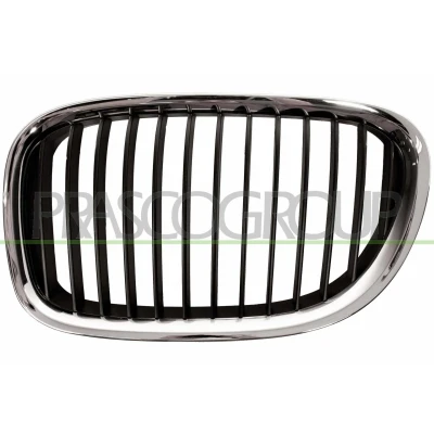 Abbildung von BLIC 6502 07 0077991P Kühlergrill vorne links chrom, schwarz