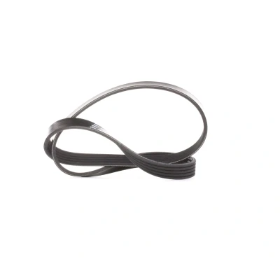 Abbildung von DAYCO 5PK880 Keilrippenriemen 880,0 5 OPEL: Zafira B, Vectra C Saloon, Signum CC, RENAULT: CLIO 2, Kangoo I Express, I, PEUGEOT: 306 Hatchback
