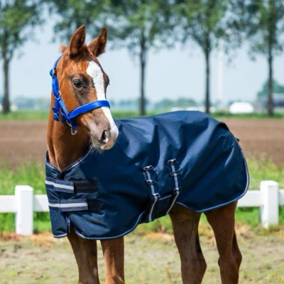 Abbildung von HB Fohlendecke Showtime Navy