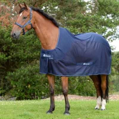 Abbildung von Bucas Wettbewerbskühler Marineblau