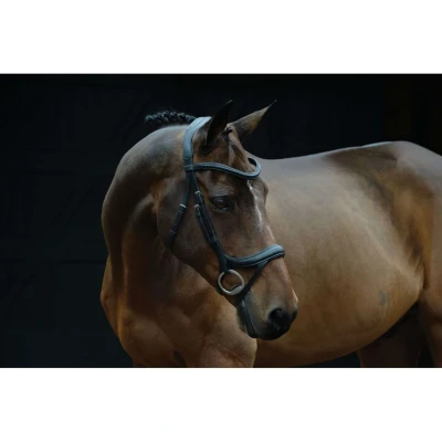 Abbildung von Collegiate ComFiTec Vogue Anatomical Bridle