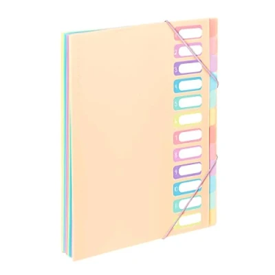 Abbildung von Viquel Dokumentenmappe A4 mit 12 Fächern Rainbow Pastell