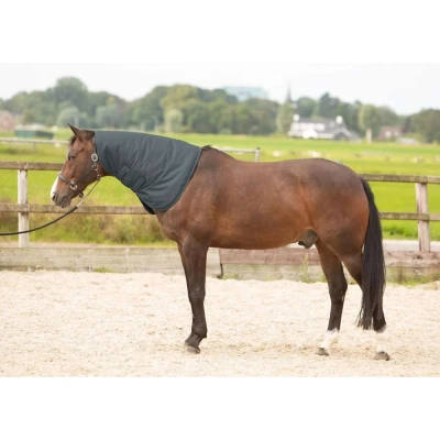 Abbildung von Harry&#039;s Horse Halsstück Thor 200 Ebenholz XL
