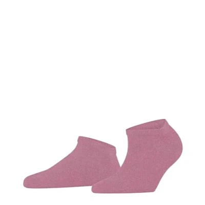 Abbildung von FALKE Damen Sneakersocken Shiny W Sn Lyocell kurz einfarbig 1 Paar, Rosa Candy 8052, 39 42