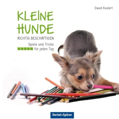 Abbildung von Kleine Hunde richtig beschäftigen: Spiele und Tricks für jeden Tag