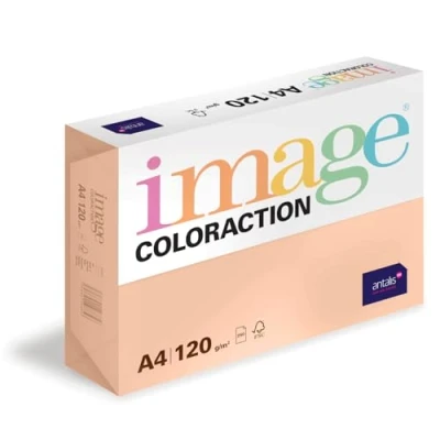 Abbildung von Image Coloraction Savana farbiges Kopierpapier DIN A4, 210 x 297 mm, 120 g/m² buntes, holzfreies Druckerpapier für Kopierer 250 Blatt Salm