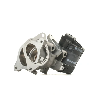 Abbildung von DELPHI EG10396 12B1 AGR Ventil ohne Dichtungen PEUGEOT: 307 Estate, 308 I SW, CITROËN: C5 II C4 Picasso 1, III Estate