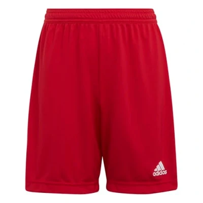 Abbildung von adidas Jungen Entrada 22 Fußballshorts, Team Power Red, 16 Jahre EU